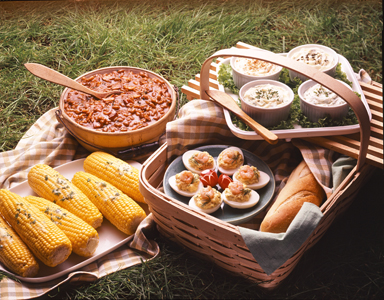 Easy Home Meals logo